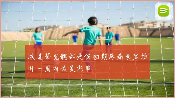 埃基蒂克髋部受伤初期疼痛明显预计一周内恢复完毕